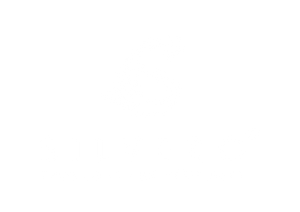 SILVERO®